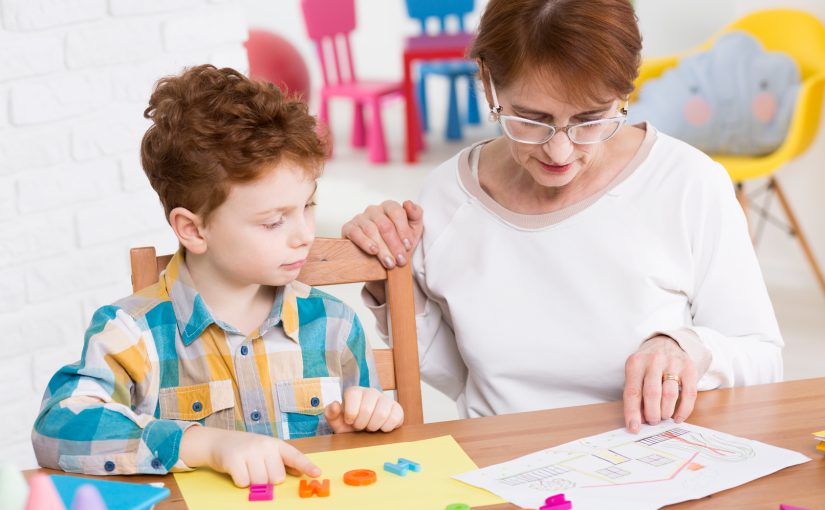 Gölge Öğretmenlik Eğitimi